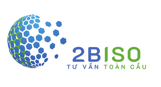 2BISO – Tư vấn toàn cầu